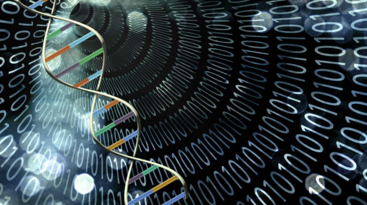 Beyond Silicon: Harnessing DNA as a Computer